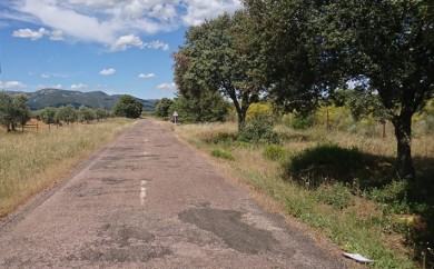 Conservación de carreteras: 1 de cada 10 km en estado muy deficiente