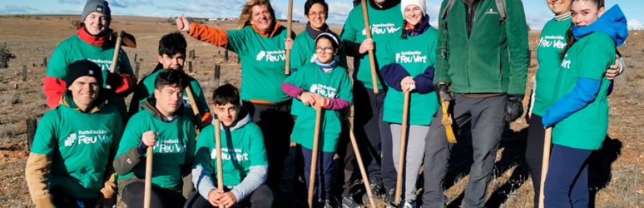 Voluntariado ambiental: continuamos reforestando en la Comunidad de Madrid